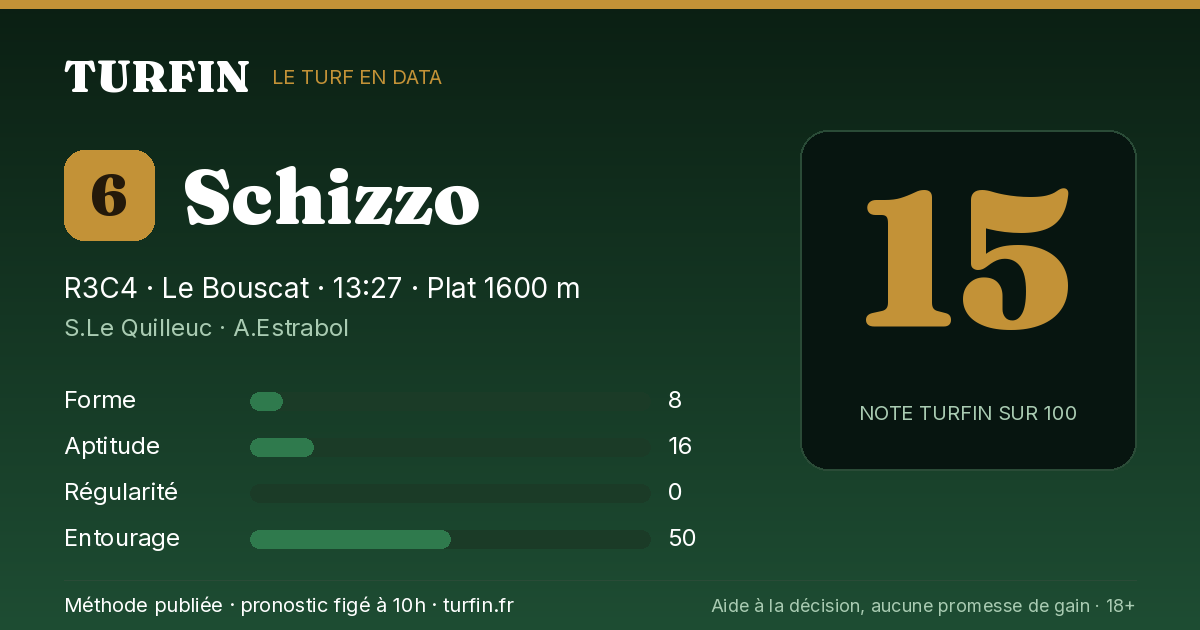 Schizzo, noté 15 sur 100 par Turfin