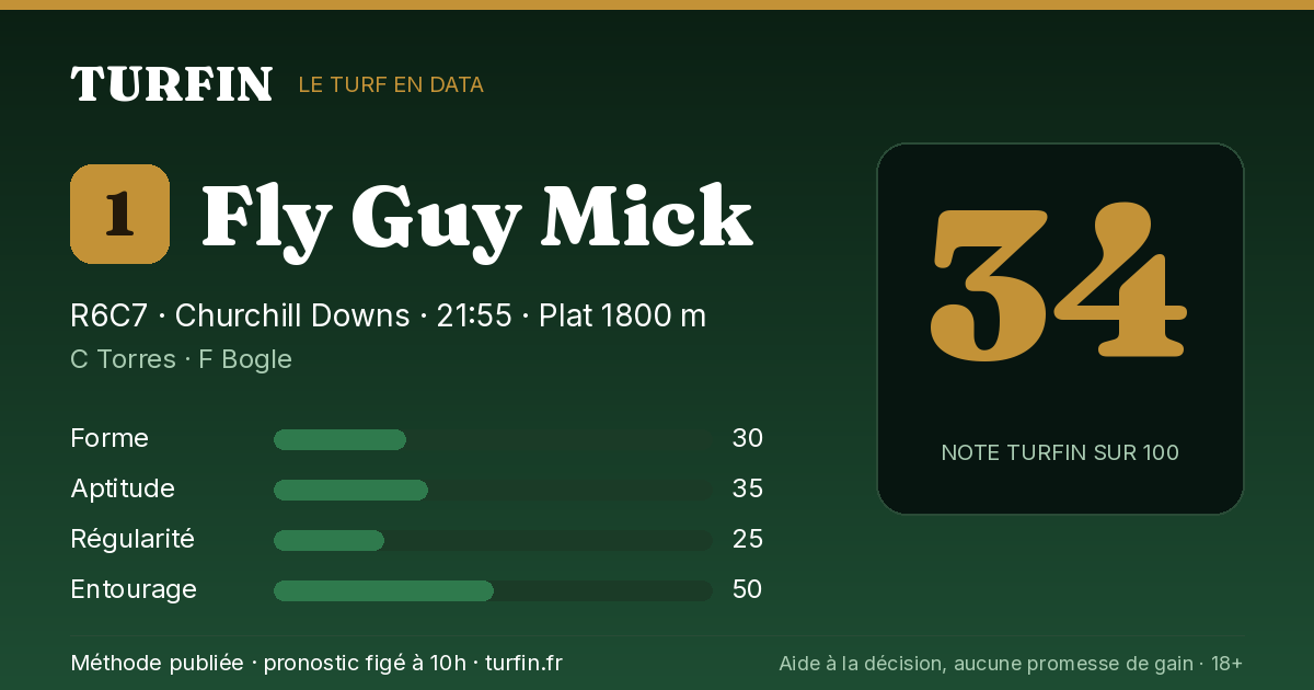 Fly Guy Mick, noté 34 sur 100 par Turfin