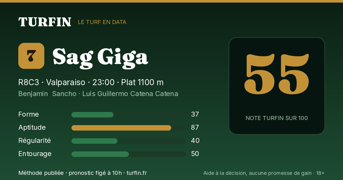 Sag Giga, noté 55 sur 100 par Turfin