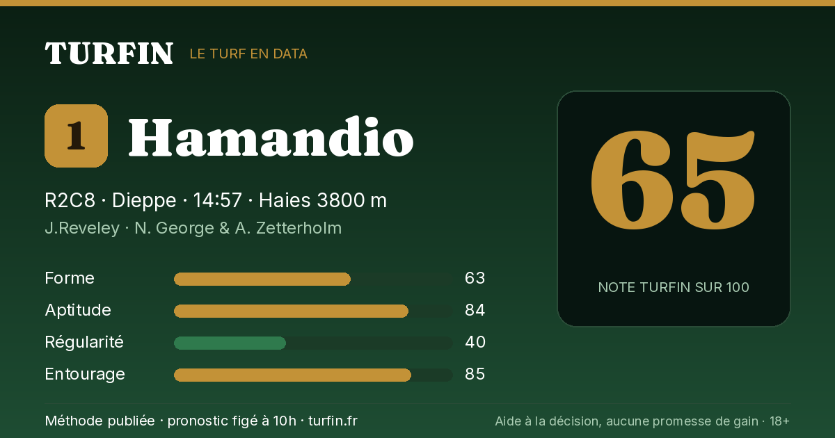 Hamandio, noté 65 sur 100 par Turfin