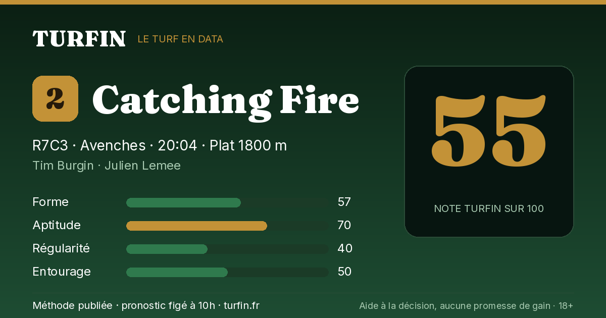Catching Fire, noté 55 sur 100 par Turfin
