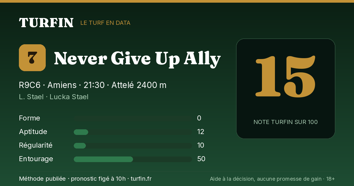 Never Give Up Ally, noté 15 sur 100 par Turfin