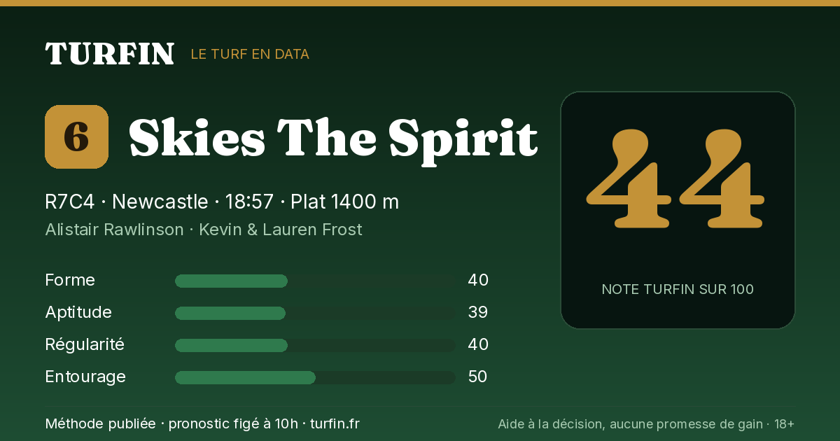 Skies The Spirit, noté 44 sur 100 par Turfin