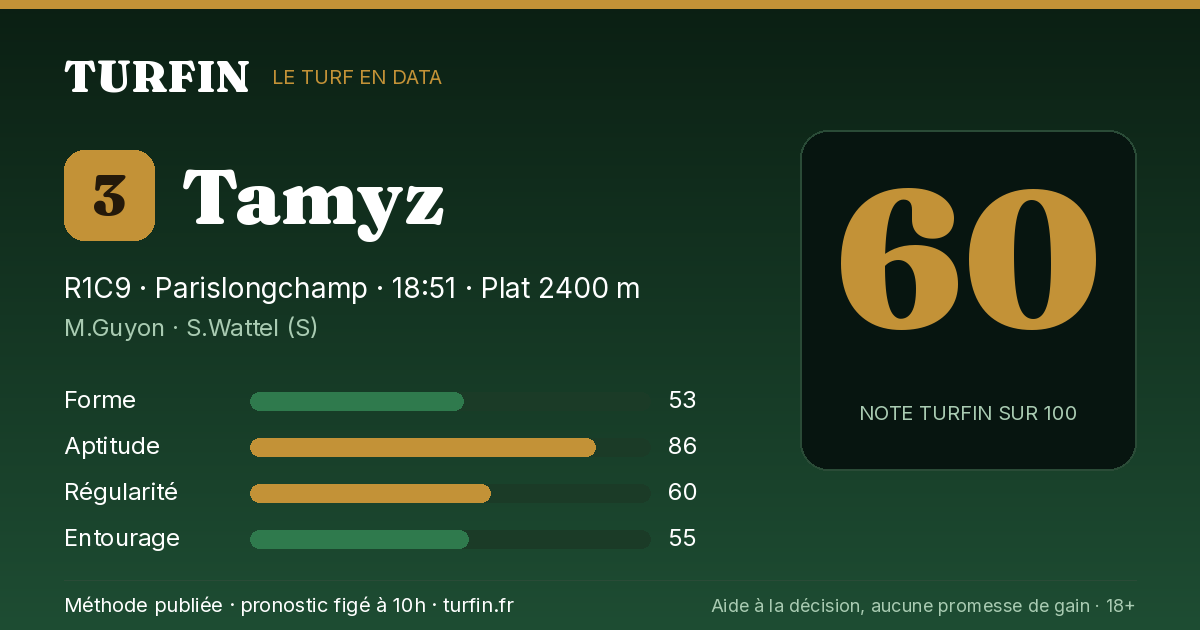 Tamyz, noté 60 sur 100 par Turfin