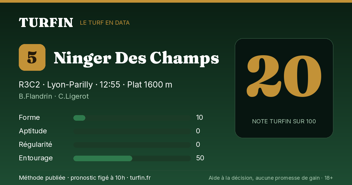 Ninger Des Champs, noté 20 sur 100 par Turfin