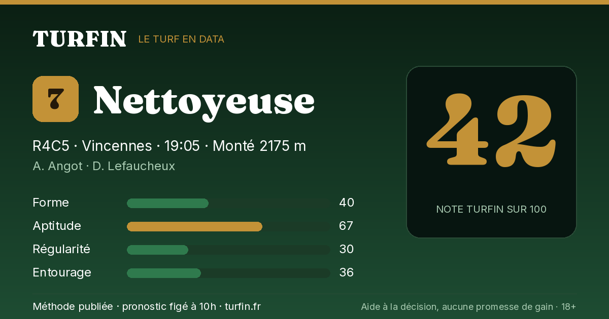 Nettoyeuse, noté 42 sur 100 par Turfin