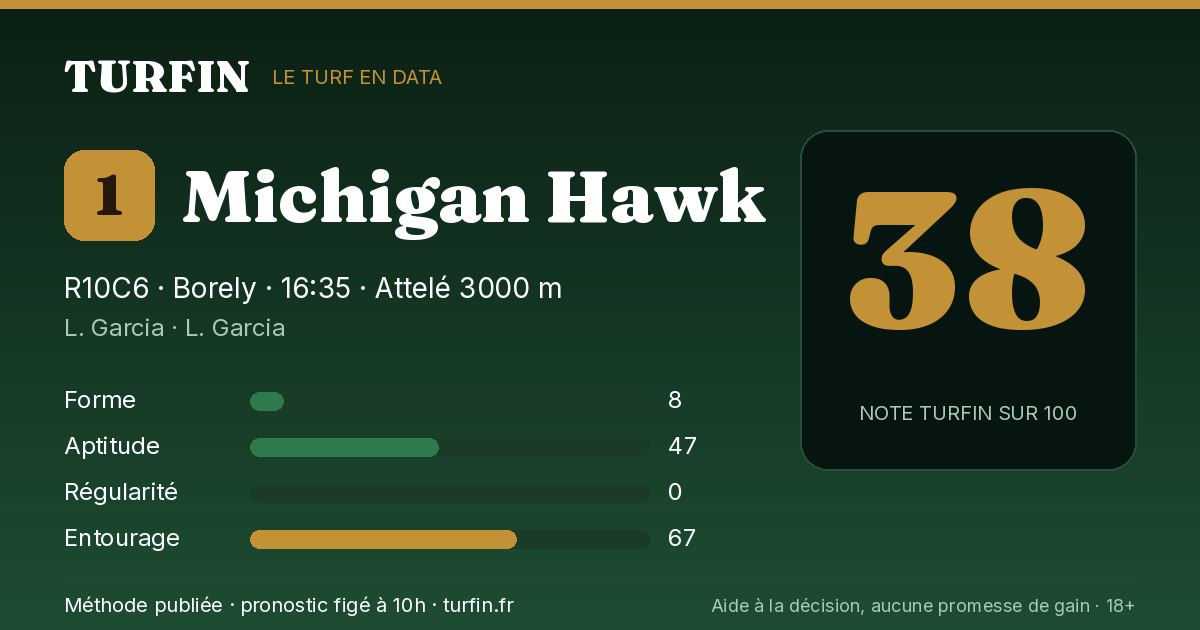 Michigan Hawk, noté 38 sur 100 par Turfin