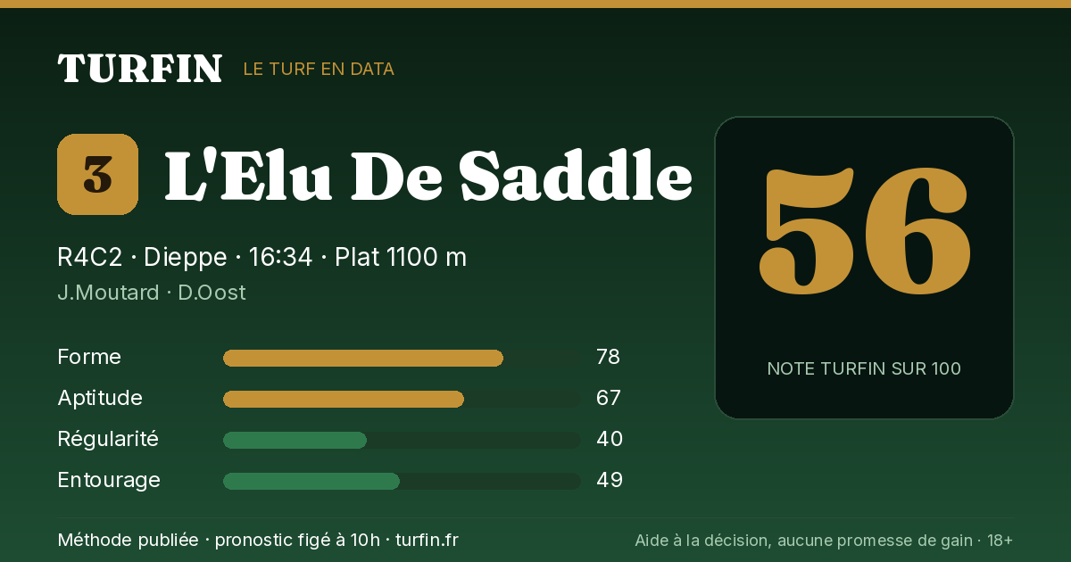L'Elu De Saddle, noté 56 sur 100 par Turfin