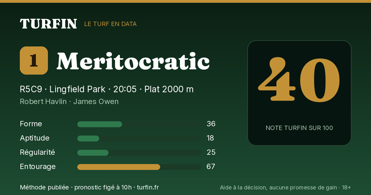 Meritocratic, noté 40 sur 100 par Turfin