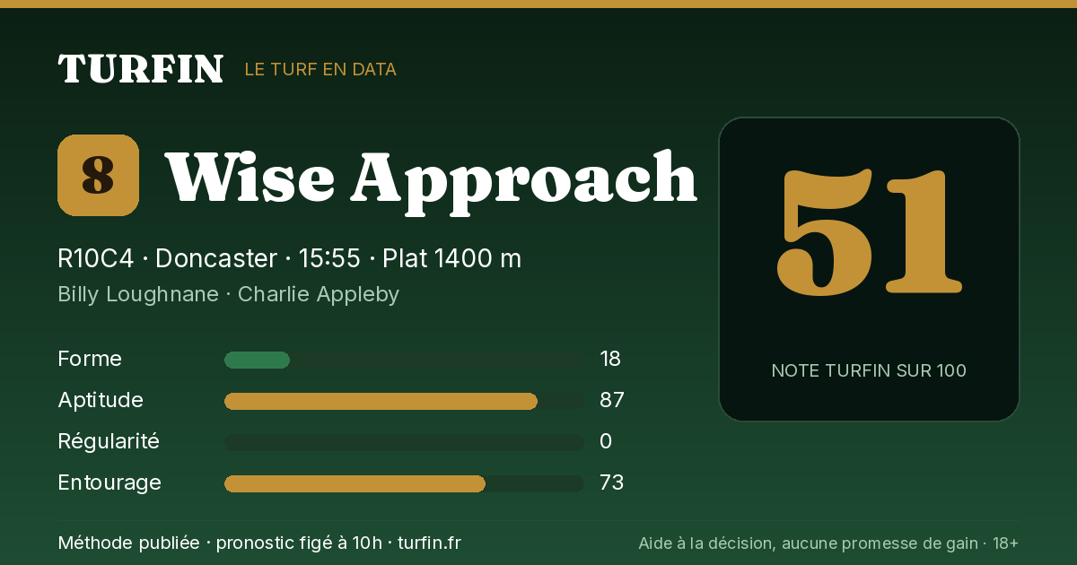 Wise Approach, noté 51 sur 100 par Turfin