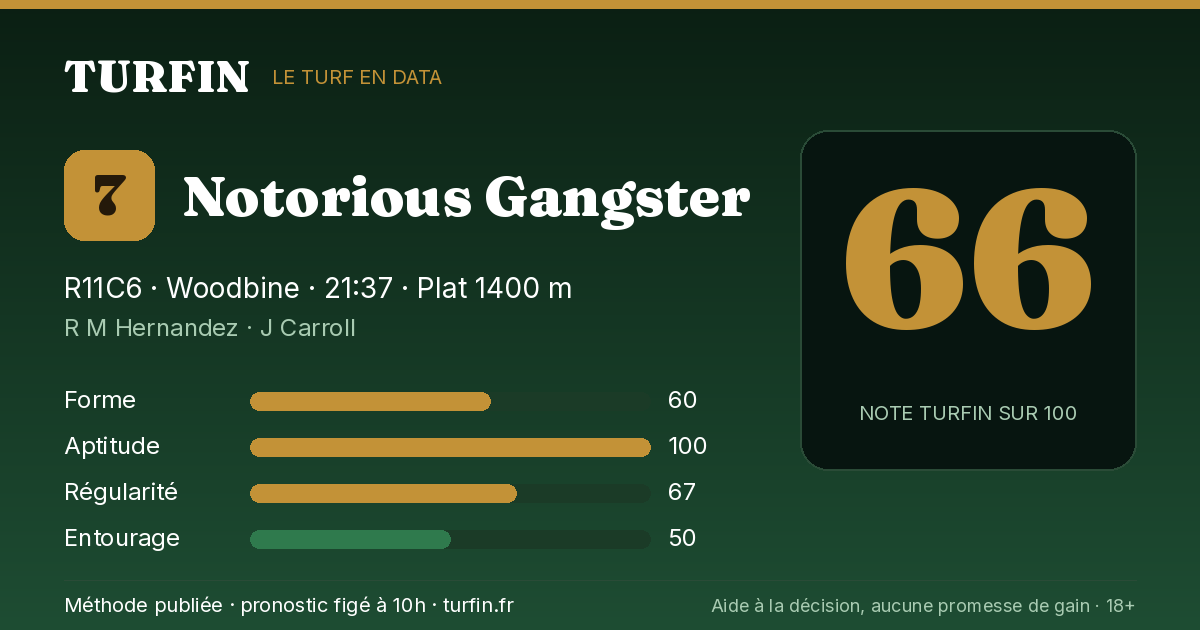 Notorious Gangster, noté 66 sur 100 par Turfin