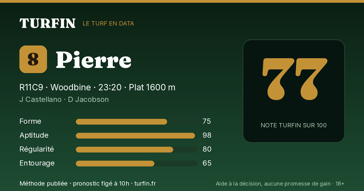 Pierre, noté 77 sur 100 par Turfin