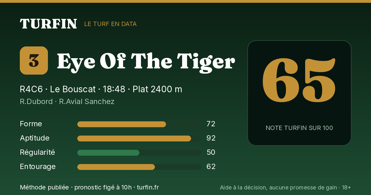 Eye Of The Tiger, noté 65 sur 100 par Turfin
