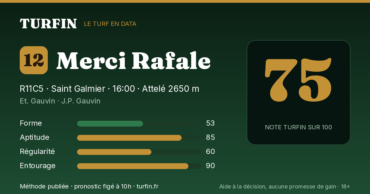 Merci Rafale, noté 75 sur 100 par Turfin